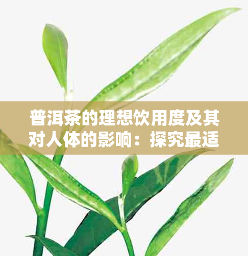 普洱茶的理想饮用度及其对人体的影响：探究最适合喝普洱茶的度