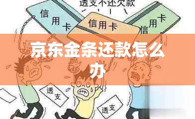 京东金条还款怎么办