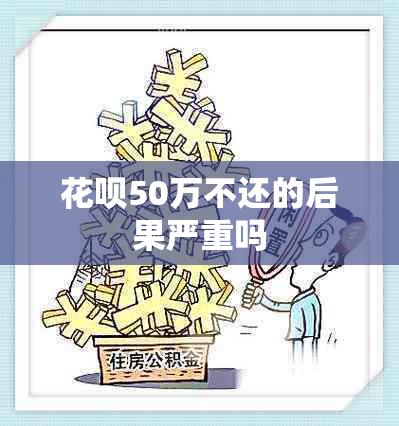 花呗50万不还的后果严重吗