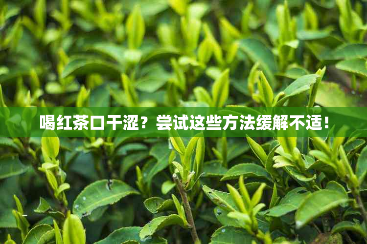 喝红茶口干涩？尝试这些方法缓解不适！