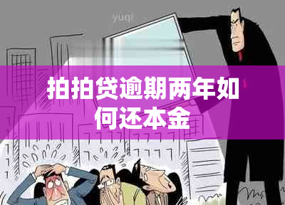 拍拍贷逾期两年如何还本金