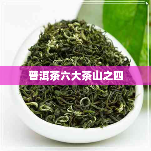 普洱茶六大茶山之四