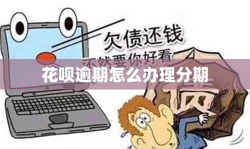 花呗逾期怎么办理分期