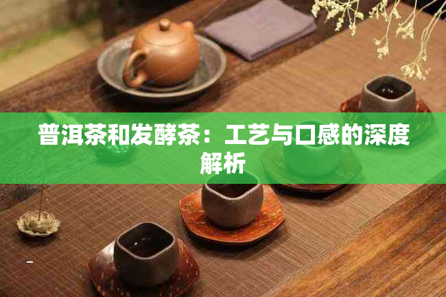 普洱茶和发酵茶：工艺与口感的深度解析