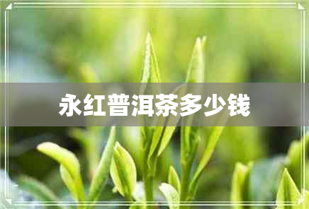 永红普洱茶多少钱