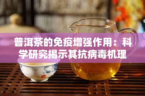 普洱茶的免疫增强作用：科学研究揭示其抗病机理