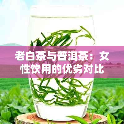 老白茶与普洱茶：女性饮用的优劣对比与选择指南