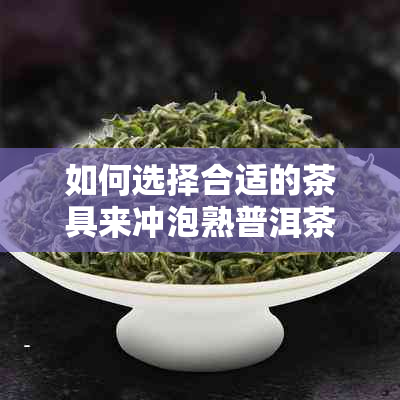 如何选择合适的茶具来冲泡熟普洱茶：茶具种类与搭配指南