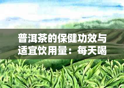 普洱茶的保健功效与适宜饮用量：每天喝普洱茶的好处、注意事项和适合人群