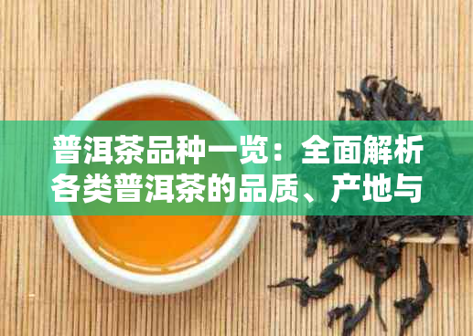 普洱茶品种一览：全面解析各类普洱茶的品质、产地与功效