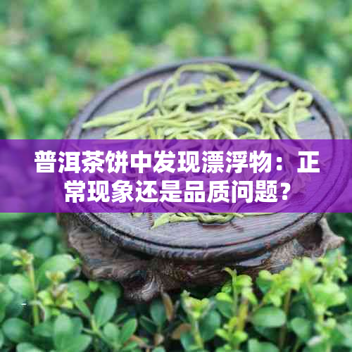 普洱茶饼中发现漂浮物：正常现象还是品质问题？