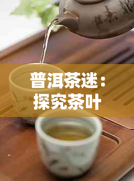 普洱茶迷：探究茶叶魅力与品味人生的奥秘