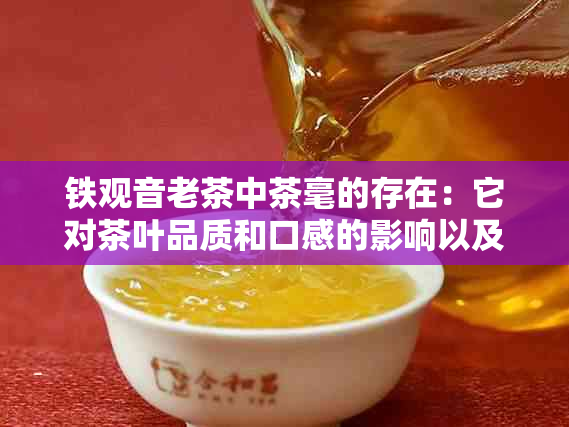 铁观音老茶中茶毫的存在：它对茶叶品质和口感的影响以及如何鉴别和欣茶毫