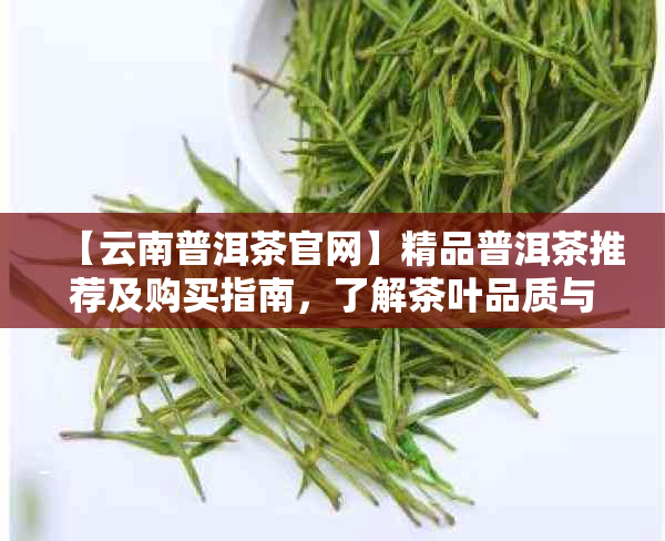 【云南普洱茶官网】精品普洱茶推荐及购买指南，了解茶叶品质与选择