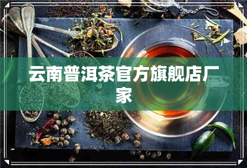 云南普洱茶官方旗舰店厂家