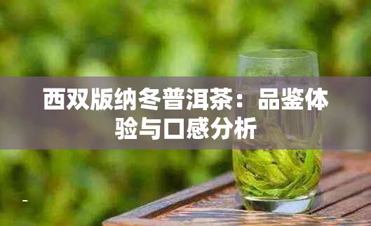 西双版纳冬普洱茶：品鉴体验与口感分析