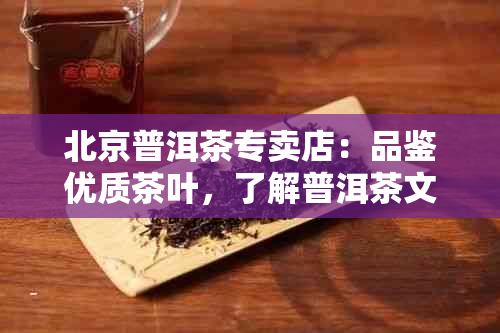 北京普洱茶专卖店：品鉴优质茶叶，了解普洱茶文化与泡茶技巧的全方位体验