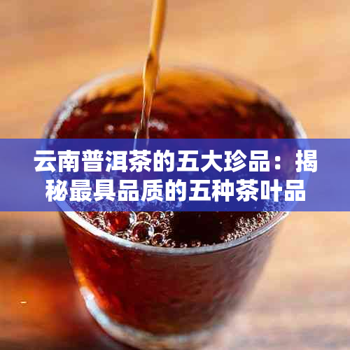 云南普洱茶的五大珍品：揭秘更具品质的五种茶叶品种