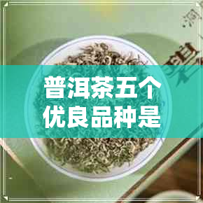 普洱茶五个优良品种是哪五个