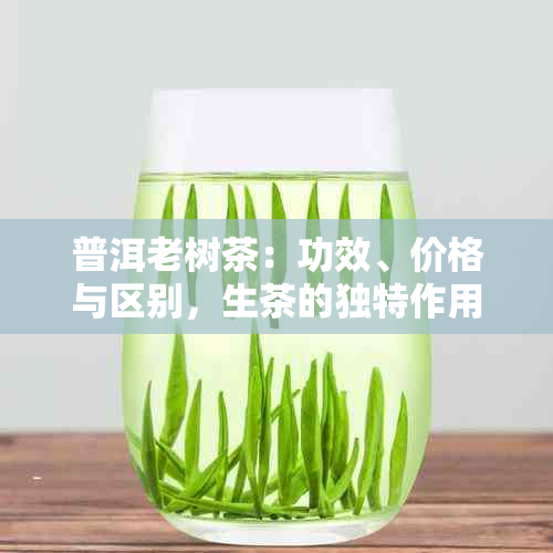 普洱老树茶：功效、价格与区别，生茶的独特作用