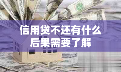 信用贷不还有什么后果需要了解