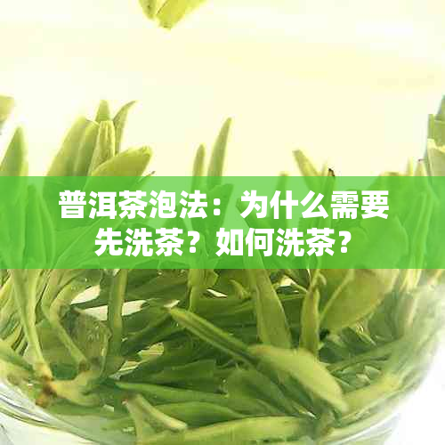 普洱茶泡法：为什么需要先洗茶？如何洗茶？