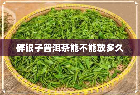 碎银子普洱茶能不能放多久