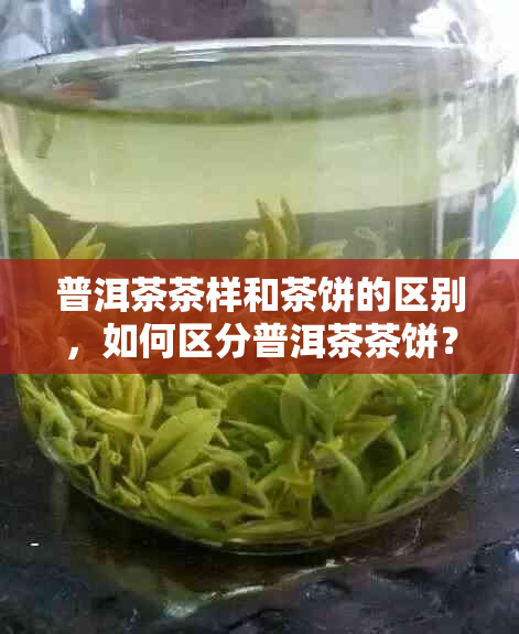 普洱茶茶样和茶饼的区别，如何区分普洱茶茶饼？