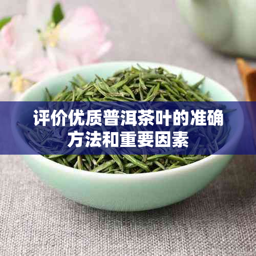 评价优质普洱茶叶的准确方法和重要因素