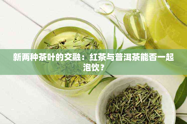 新两种茶叶的交融：红茶与普洱茶能否一起泡饮？