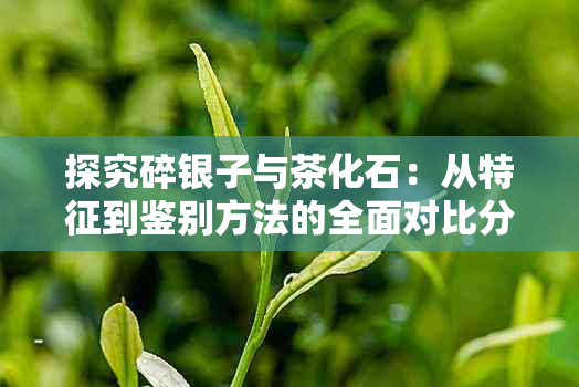 探究碎银子与茶化石：从特征到鉴别方法的全面对比分析