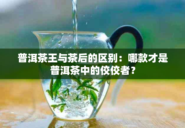 普洱茶王与茶后的区别：哪款才是普洱茶中的佼佼者？