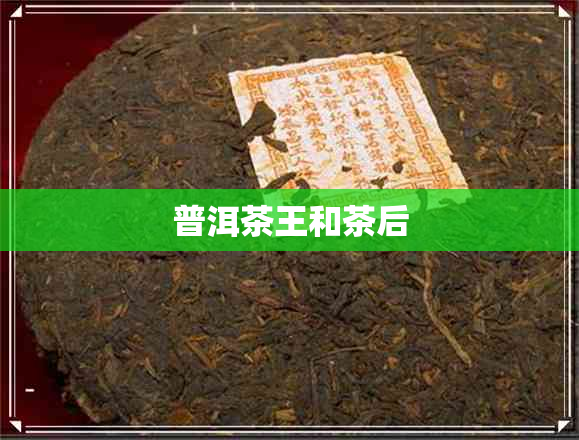 普洱茶王和茶后