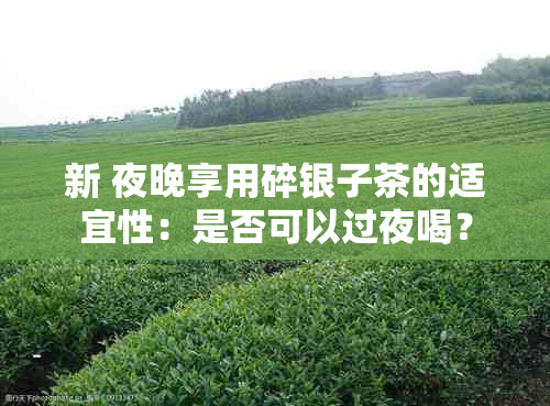 新 夜晚享用碎银子茶的适宜性：是否可以过夜喝？