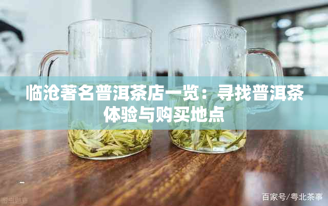 临沧著名普洱茶店一览：寻找普洱茶体验与购买地点