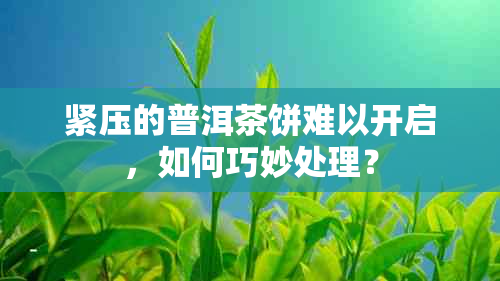 紧压的普洱茶饼难以开启，如何巧妙处理？