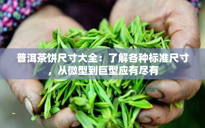 普洱茶饼尺寸大全：了解各种标准尺寸，从微型到巨型应有尽有