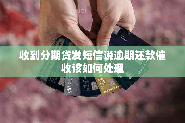 收到分期贷发短信说逾期还款该如何处理