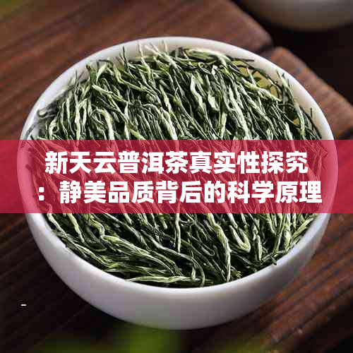 新天云普洱茶真实性探究：静美品质背后的科学原理