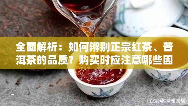 全面解析：如何辨别正宗红茶、普洱茶的品质？购买时应注意哪些因素？