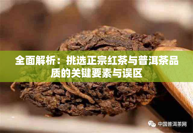 全面解析：挑选正宗红茶与普洱茶品质的关键要素与误区