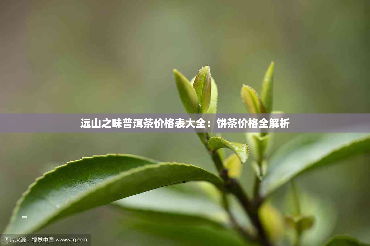 远山之味普洱茶价格表大全：饼茶价格全解析