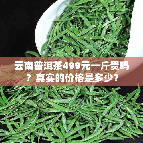 云南普洱茶499元一斤贵吗？真实的价格是多少？