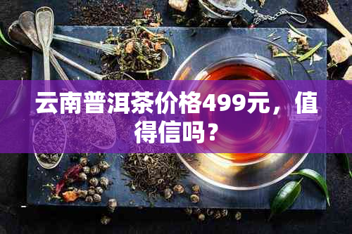 云南普洱茶价格499元，值得信吗？