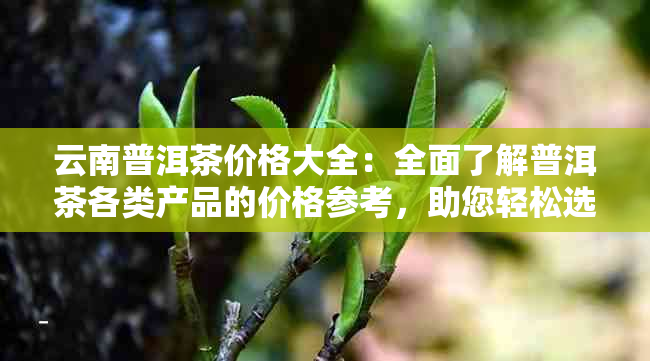 云南普洱茶价格大全：全面了解普洱茶各类产品的价格参考，助您轻松选购！