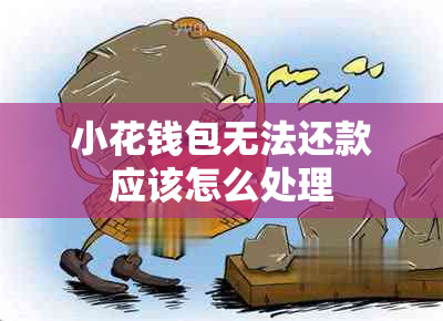 小花钱包无法还款应该怎么处理