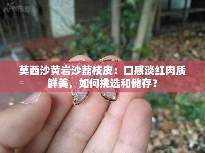 莫西沙黄岩沙荔枝皮：口感淡红肉质鲜美，如何挑选和储存？