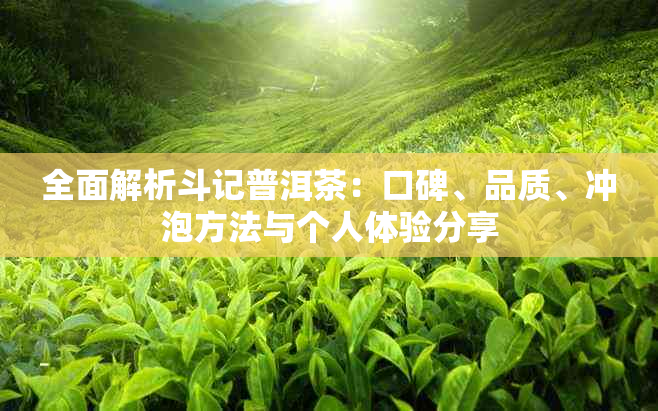 全面解析斗记普洱茶：口碑、品质、冲泡方法与个人体验分享