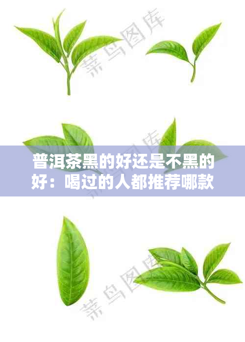 普洱茶黑的好还是不黑的好：喝过的人都推荐哪款？