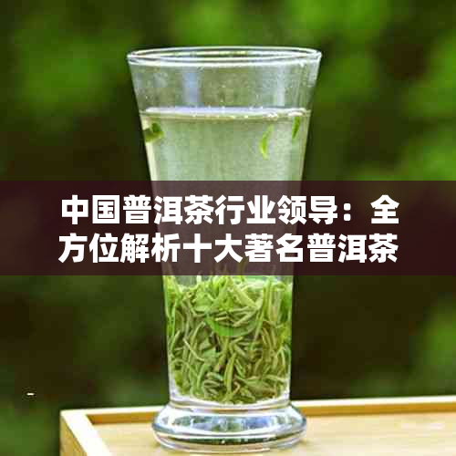 中国普洱茶行业领导：全方位解析十大著名普洱茶排行榜